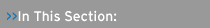 In This Section